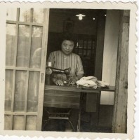 登錄號:KH2006.028.0018藏品圖，第245張