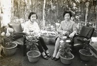 登錄號:KH2006.028.0018藏品圖，第246張