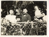 登錄號:KH2006.028.0018藏品圖，第249張