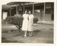 登錄號:KH2006.028.0018藏品圖，第258張