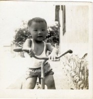 登錄號:KH2006.028.0018藏品圖，第269張