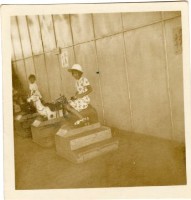 登錄號:KH2006.028.0018藏品圖，第271張