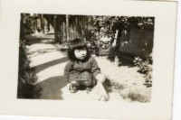 登錄號:KH2006.028.0018藏品圖，第332張