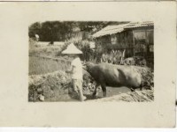 登錄號:KH2006.028.0018藏品圖，第336張