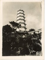 登錄號:KH2006.028.0018藏品圖，第381張