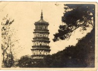 登錄號:KH2006.028.0018藏品圖，第385張