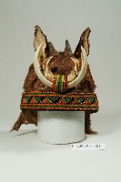 原住民勇士皮帽藏品圖，第1張