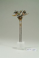 銀鎏金鶴紋釵藏品圖，第1張