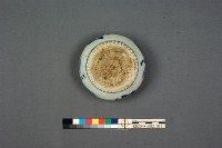 簡筆花草紋青花水盂藏品圖，第10張