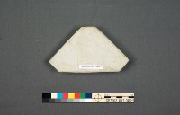 加彩花草紋九拼盤藏品圖，第15張