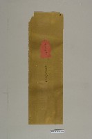 告訴狀-1藏品圖，第2張