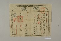 執照-2藏品圖，第1張