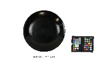 雕刻彩繪填漆台灣風物紋圓盤藏品圖，第2張