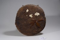 鑲臺灣蝴蝶蘭壁飾藏品圖，第1張