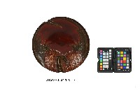 雕刻彩繪鳳梨紋圓漆盤藏品圖，第1張