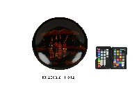 彩繪填漆杵歌紋圓形壁飾藏品圖，第1張