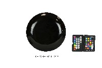 彩繪填漆杵歌紋圓形壁飾藏品圖，第2張