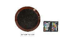 彩繪填漆潭中帆影紋圓盤藏品圖，第2張