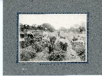 臺灣寫真卡片藏品圖，第19張