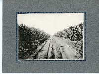 臺灣寫真卡片藏品圖，第39張