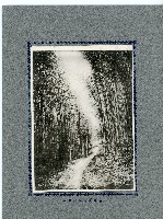 臺灣寫真卡片藏品圖，第53張