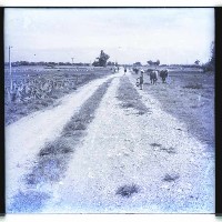 高雄市往鳳山的路藏品圖，第1張