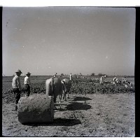 高雄市右昌大橋工程藏品圖，第1張