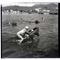 國軍水上運動會藏品圖，第1張