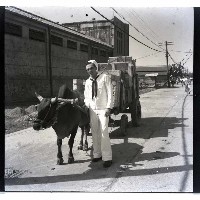 美海軍士兵與牛車藏品圖，第1張