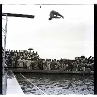 香港游泳隊來高表演藏品圖，第1張