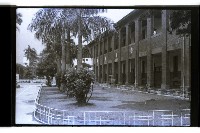 高雄市三民國小藏品圖，第1張