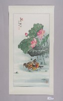 書畫：菡萏閒情的圖片
