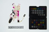 陝西皮影藏品圖，第2張