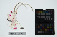 陝西皮影藏品圖，第2張