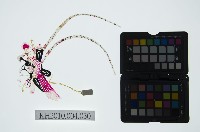 陝西皮影藏品圖，第2張