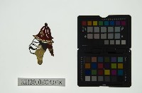 皮影戲偶頭 生藏品圖，第1張