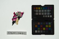 皮影戲偶頭 武淨藏品圖，第1張