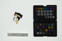 皮影戲偶頭 生藏品圖，第1張