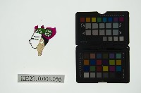 皮影戲偶頭 生藏品圖，第1張