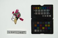 皮影戲偶頭 生藏品圖，第1張