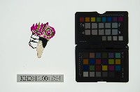 皮影戲偶頭 生藏品圖，第1張