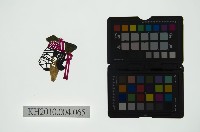 皮影戲偶頭 旦藏品圖，第1張