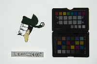 皮影戲偶頭 丑藏品圖，第1張