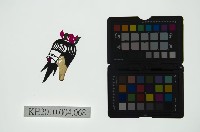 皮影戲偶頭 末藏品圖，第1張