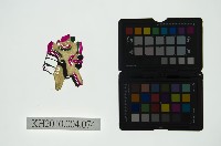 皮影戲偶頭 旦藏品圖，第1張