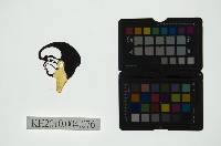 皮影戲偶頭 丑藏品圖，第1張