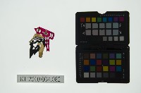 皮影戲偶頭 淨藏品圖，第1張