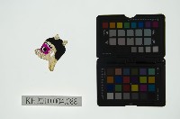 皮影戲偶頭 雜藏品圖，第1張