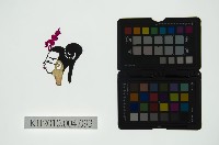 皮影戲偶頭 生藏品圖，第1張