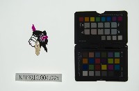皮影戲偶頭 旦藏品圖，第1張